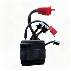 UNO MINDA Body Control Unit with sealed coupler (MI-7664C, Brown Colour) for Bajaj Pulsar 150 UG3 | 180 UG3 | 200 UG3 | DJ65